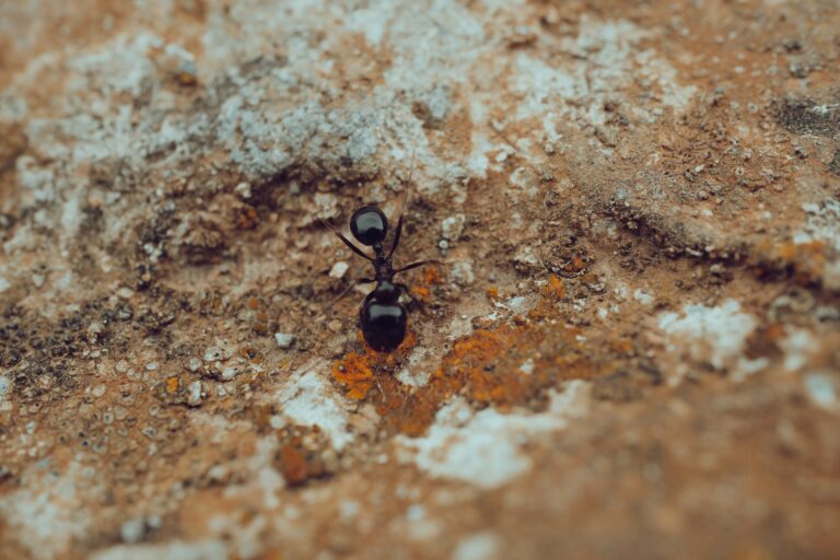 stock photo of abstract, dark, dirty Stock Photo