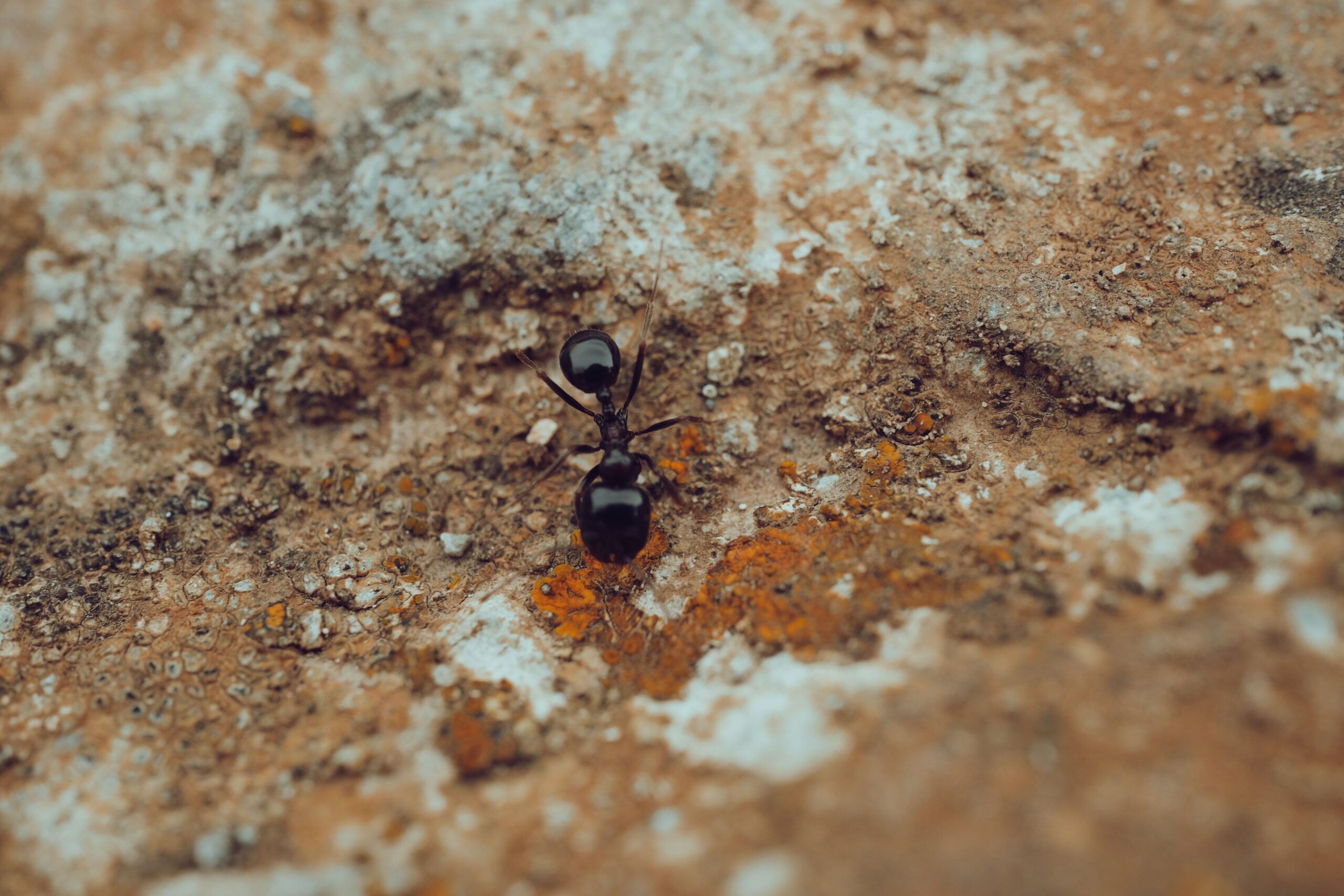 stock photo of abstract, dark, dirty Stock Photo